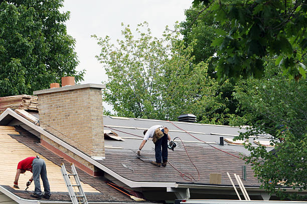 Best Roof Leak Repair  in Merrillville, IN