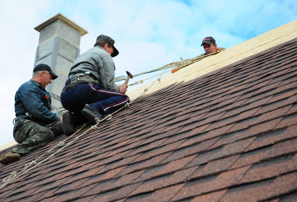 Best Metal Roofing Contractor  in Merrillville, IN